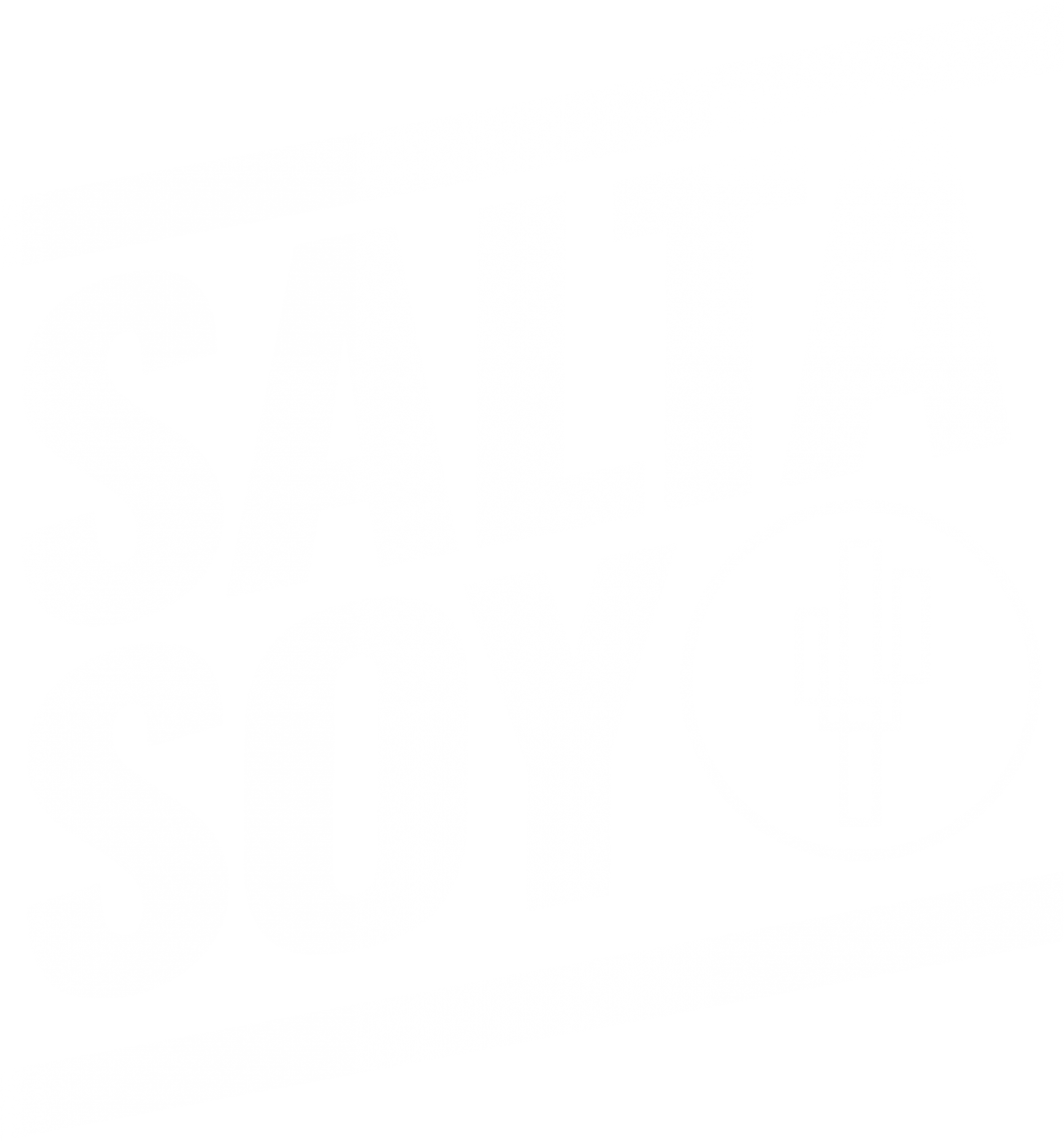 Salta Soy