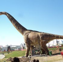 Ya se palpita Tecnopolis en Salta