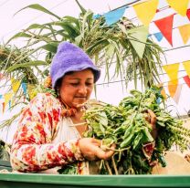 ¿Ya sabés a donde ir? / Salta propone un fin de semana a puro carnaval