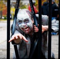 Se realizará una mini serie de zombies protagonizada por salteños