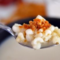 Una delicia / &Eacute;ste es el plato bien salte&ntilde;o con el que le pod&eacute;s dar placer a tu paladar