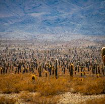 Inició el concurso: dos lugares de Salta son las posibles nuevas maravillas naturales del país