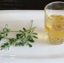 &iquest;Por qu&eacute; hay que tomar ca&ntilde;a con ruda el 1&ordm; de agosto?