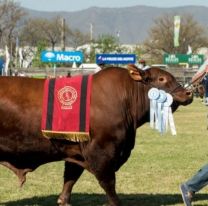 ¡Con entrada libre y gratuita! / Arrancó la muestra de la Rural Salteña