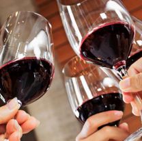 ¡Para los fanáticos del vino! / Se vienee la segunda edición de Degustar Salta