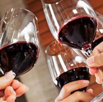 &iexcl;Para los fan&aacute;ticos del vino! / Se vienee la segunda edici&oacute;n de Degustar Salta