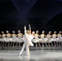 &iexcl;Un cl&aacute;sico! / El lago de los cisnes vuelve a escena en el Teatro Provincial