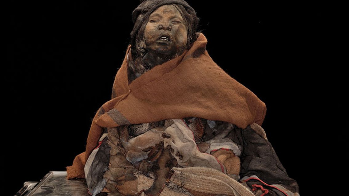 ¡Orgullo Salteño! / El Museo de Arqueología de Alta Montaña fue premiado a nivel nacional