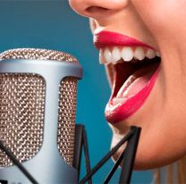 ¡Atención artistas! / Una reconocida banda local busca una voz femenina para su proyecto