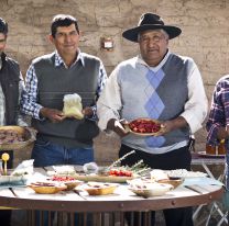 Degustar Cafayate: un paseo gastronómico por Salta