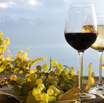 Salta y la ruta del vino m&aacute;s alta del mundo