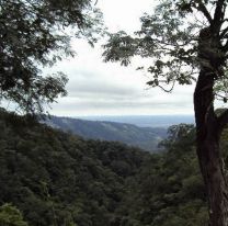 &iexcl;Bien ah&iacute;! / Salta suma una nueva reserva natural a su sistema de &aacute;reas protegidas