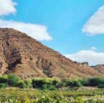 7 vacas rock+folk: el festival que promete revolucionar los valles calchaqu&iacute;es