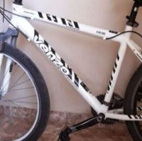 Vendían una bici robada a $300 y la compró para devolvérsela a su dueño