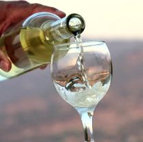 &iexcl;Aplausos por favor! / Medalla de plata para vino salte&ntilde;o