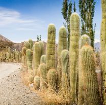 Seis atractivos de Cachi que no conoc&iacute;as y te va a sorprender