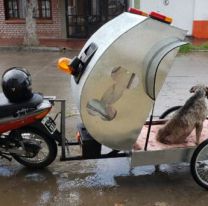 El primer perro que rescat&oacute; la motoambulancia de Salta: “El operativo fue un &eacute;xito”