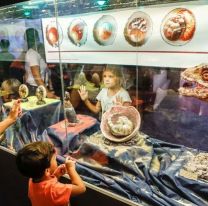 ¡No me lo pierdo! / “Dinosaurios y sus crías , una muestra para el asombro