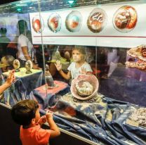 ¡No me lo pierdo! / “Dinosaurios y sus crías , una muestra para el asombro