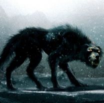 Aseguran que apareció “El Familiar” en un ingenio azucarero del norte de Salta