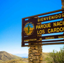 Paseá por Salta entre cardones y flores