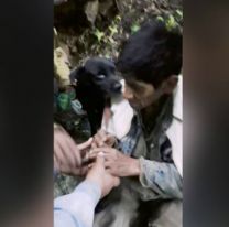 Un gaucho de Güemes cayó a un barranco y su perro lo salvó de un puma