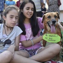 ¡Todos felices! / 29 familias encontraron a su mejor amigo en el parque San Martín