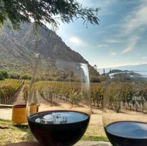 &iexcl;Presta atenci&oacute;n! / Se viene la semana del malbec de altura en Salta