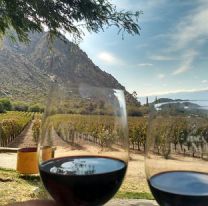 ¡Presta atención! / Se viene la semana del malbec de altura en Salta