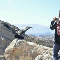 &iexcl;Es ma&ntilde;ana! / Luego de una ceremonia ancestral el c&oacute;ndor Wak’a ser&aacute; liberado en Cafayate