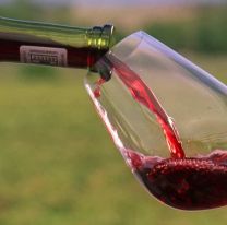 &iexcl;No me lo pierdo! / Se viene la semana del malbec de altura en Salta