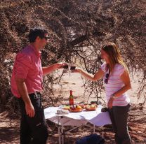 En Cachi, se afianzan los vinos de altura con sello de autor