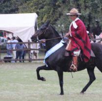 Del 3 al 5 de mayo se hace el 38° Concurso Nacional de Caballos Peruanos de Paso