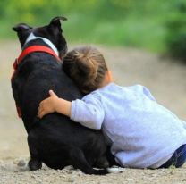 Pas&aacute; un d&iacute;a inolvidable con tu mascota en el D&iacute;a del Animal