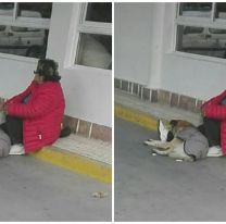 [D A DEL ANIMAL] La historia del perrito callejero que regala amor en el Hospital