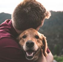 ¿Por qué se celebra el día del animal en Argentina?