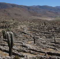 ¡Bien ahí! / Finalizaron las Obras de Conservación del Qhapaq Ñan en la Quebrada del Toro