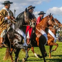 &iexcl;Bien ah&iacute;! / Los mejores caballos son de Salta y Tucum&aacute;n