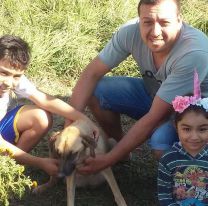 Una perrita abandonada tuvo cachorros muertos y un cabo la salvó
