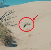 ¿Ya lo viste? / Jimena Barón se tiró por los médanos de Cafayate y es furor su video