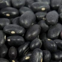 El poroto tendrá su jornada técnica y comercial en Salta La Linda