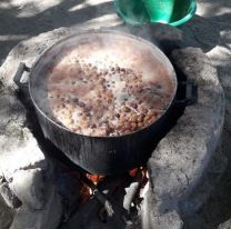 En épocas de tos, el arrope de chañar es un dulce bálsamo