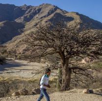 ¡Todos a colaborar! / Piden la donación de cremas y ropa de abrigo