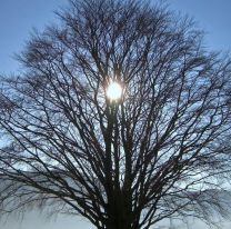 Solsticio de invierno: hoy es el día más corto y la noche más larga