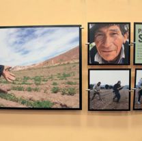 &iexcl;Entrada libre y gratuita! / Muestra “Argentina celebra el trabajo” en el Museo de Bellas Artes