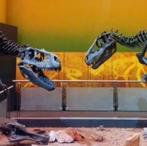 En estas vacaciones, los dinosaurios invaden el Museo de Ciencias Naturales