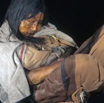 Por única vez en el año, &#8220;La Doncella&#8221; será el principal atractivo del MAAM