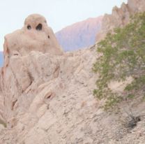 “El Búho , una nueva geoforma en Angastaco
