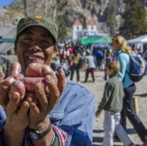 ¡Festivales salteños! / El Alfarcito se viste de fiesta con la Papa andina