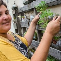 Una salte&ntilde;a cre&oacute; un sistema econ&oacute;mico para filtrar aguas grises y usarlas para regar plantas y &aacute;rboles
